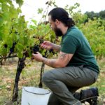 Domaine de la Deydiére vigneron 84600 Grillon